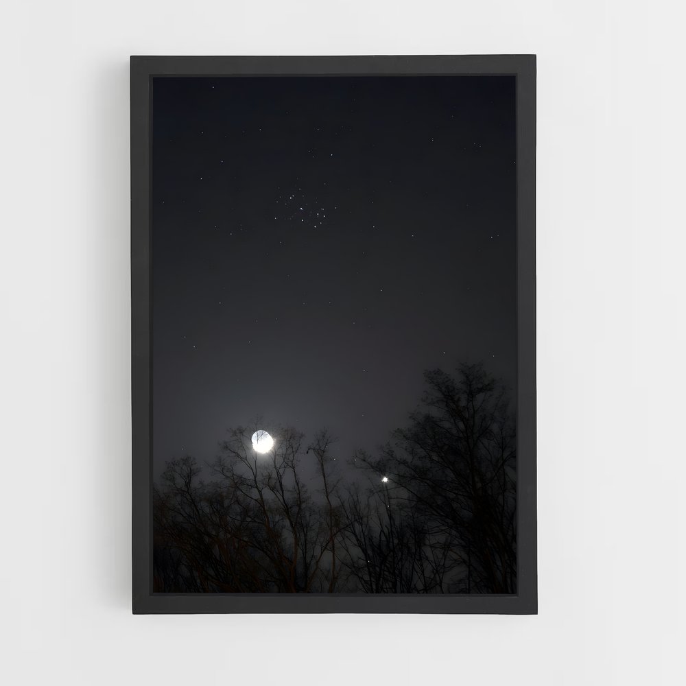 Poster Petite Ourse Étoilée – affiche Constellations (vue 2)